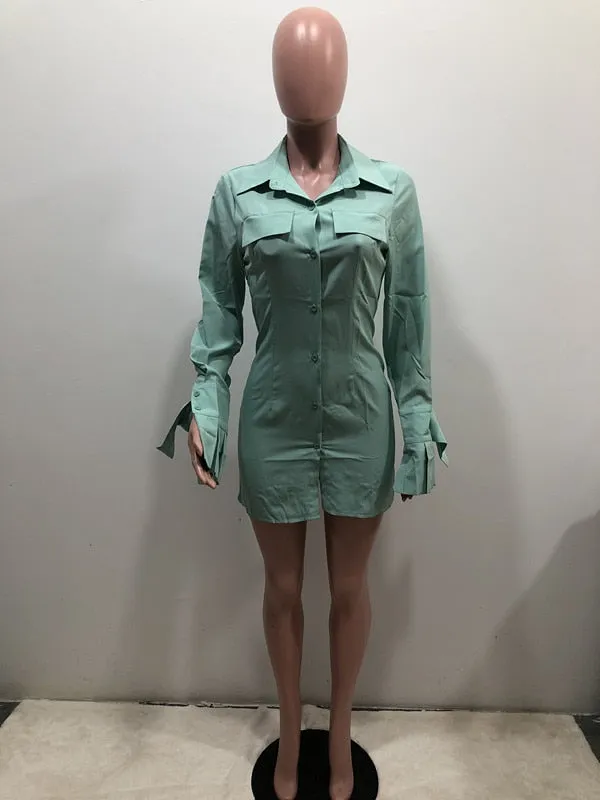 Boyfriend's Shirt Dress