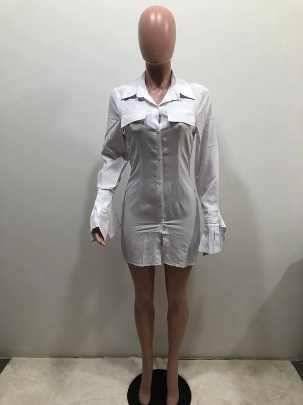 Boyfriend's Shirt Dress