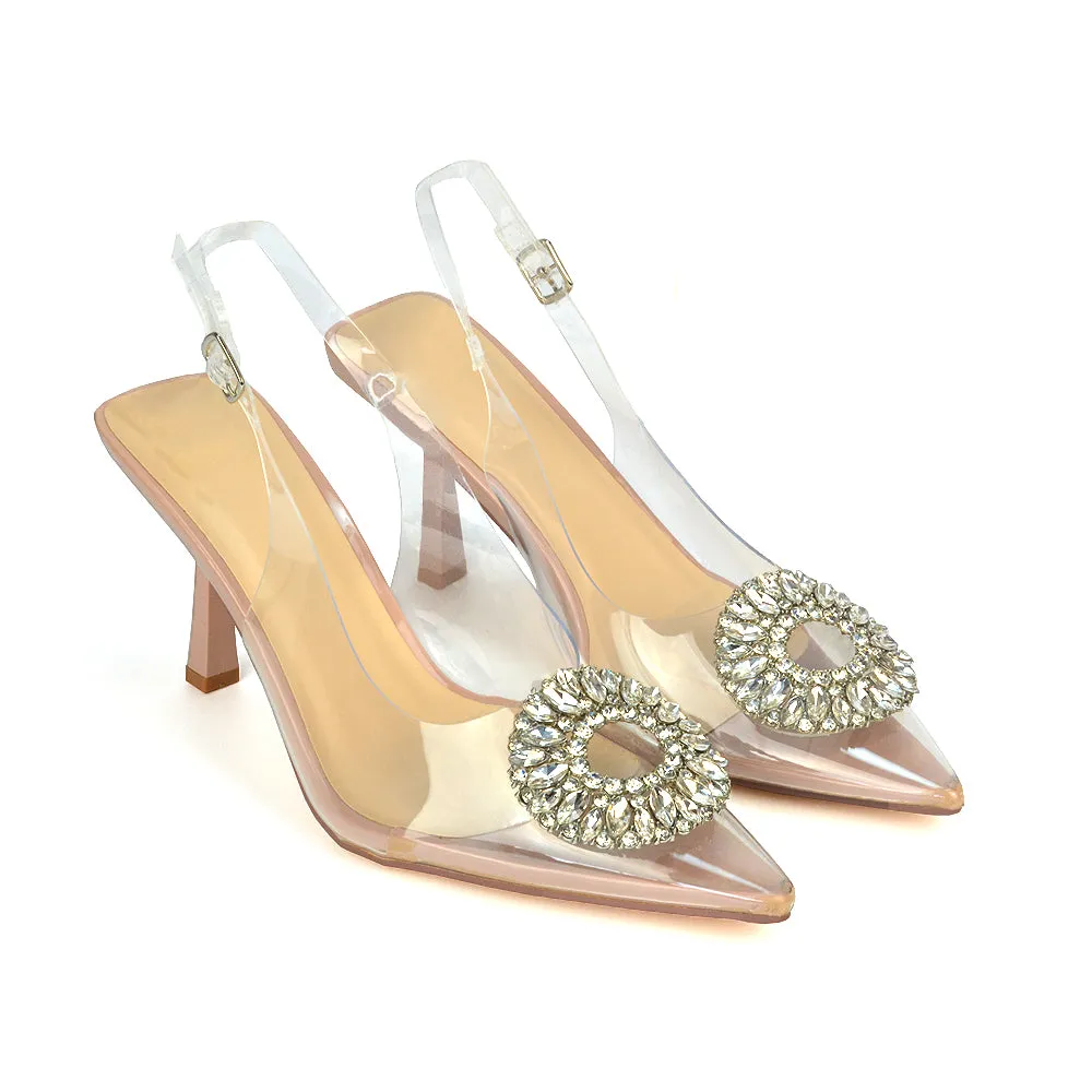 Gabbi Perspex Stiletto High Heels Pointed Toe Slingback Clear Court Shoes in Nude