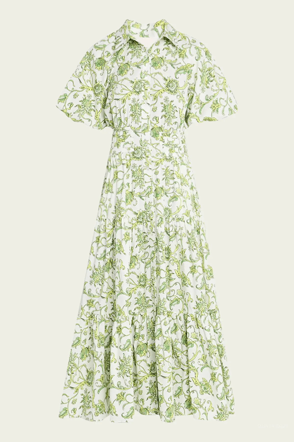 Ivy Paisley Maggio Dress in Ivory Multi