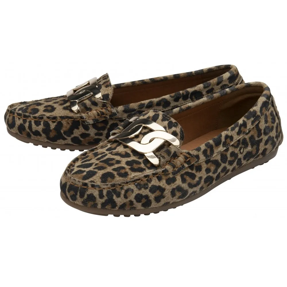 Lotus Martino Leopard Print Suede Loafer