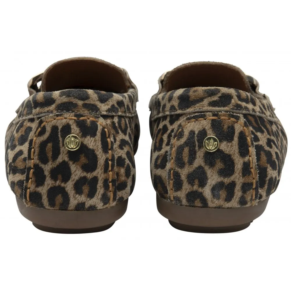 Lotus Martino Leopard Print Suede Loafer