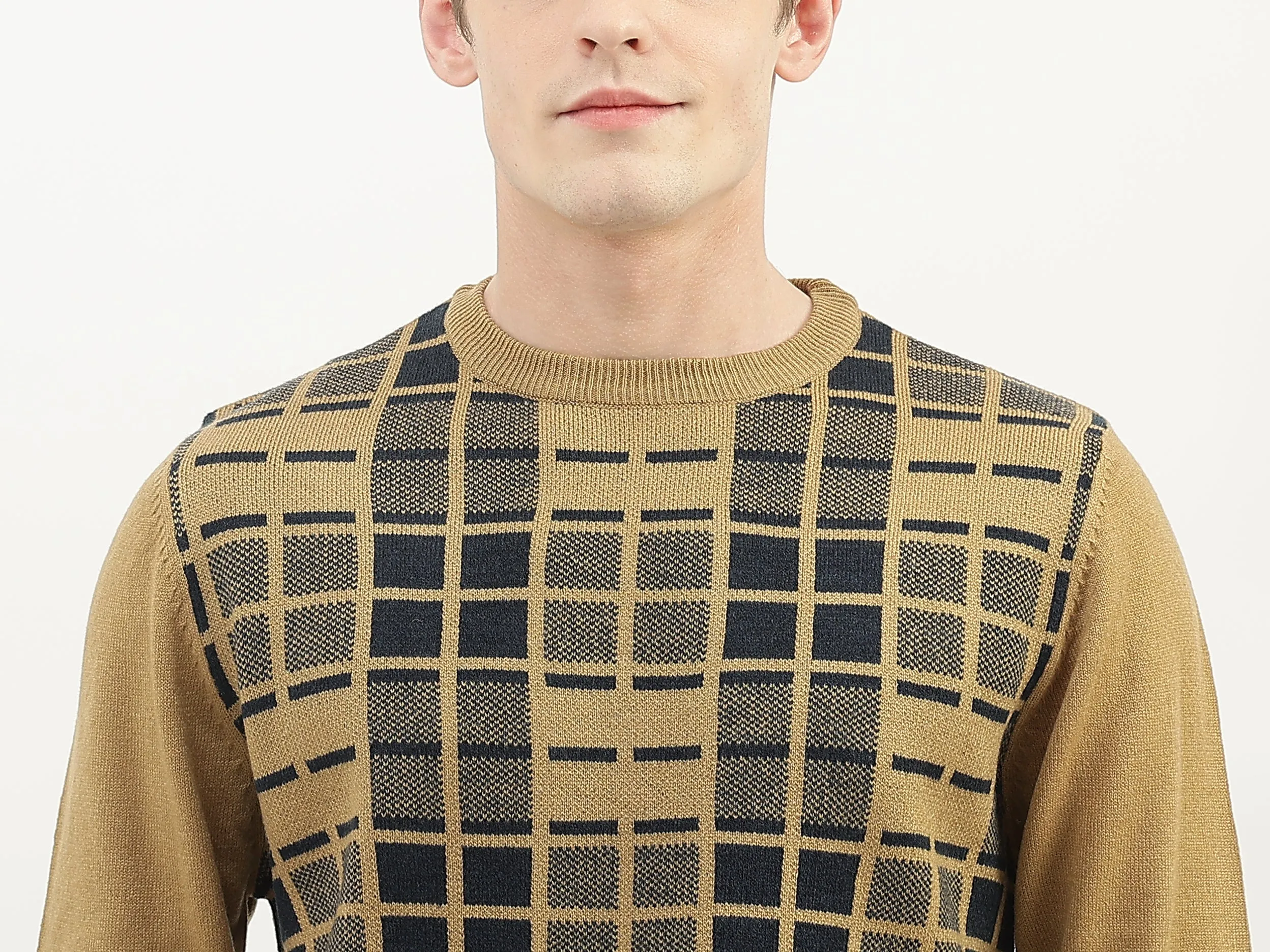 Men Checked Round Neck Sweater