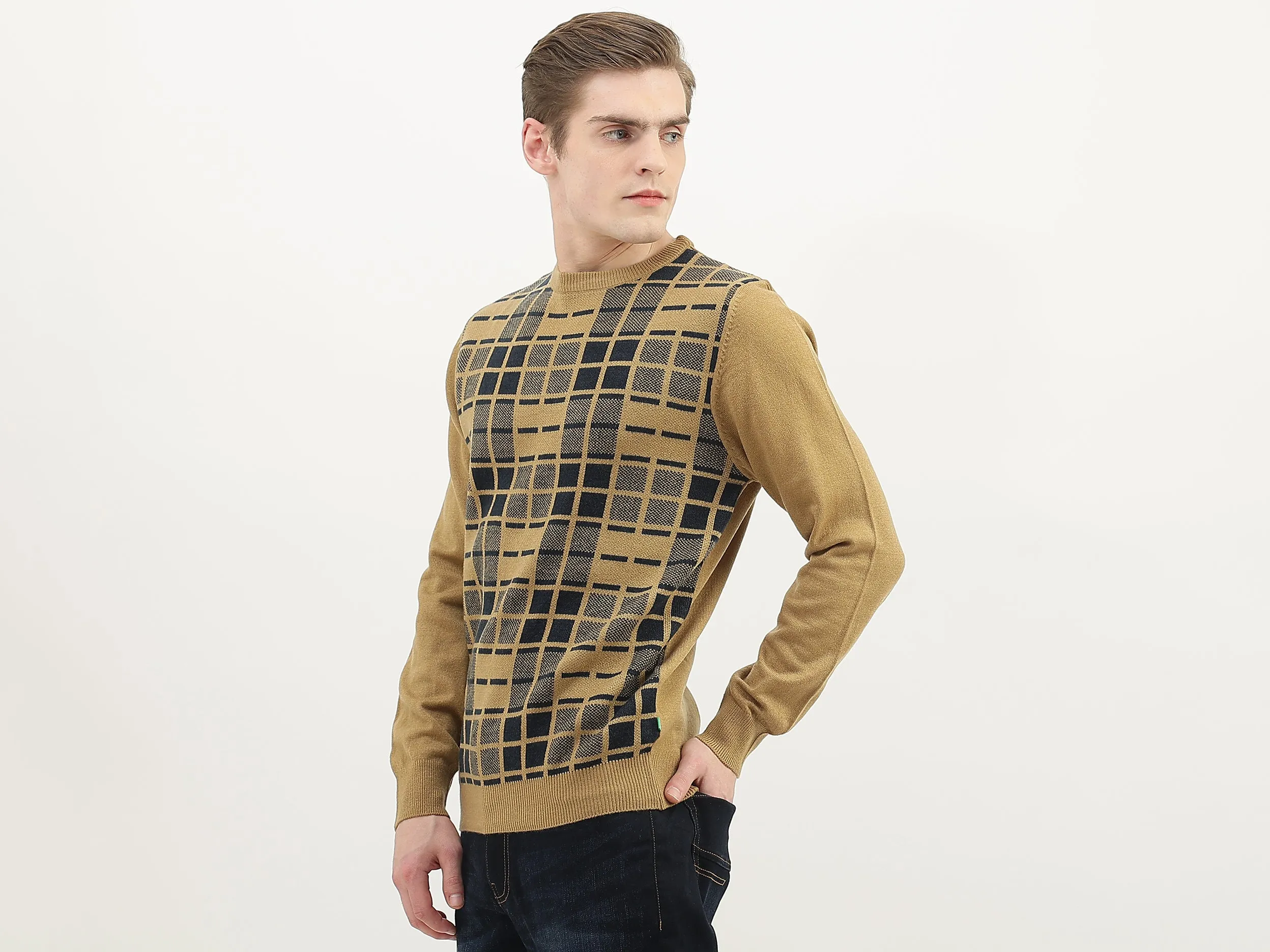 Men Checked Round Neck Sweater