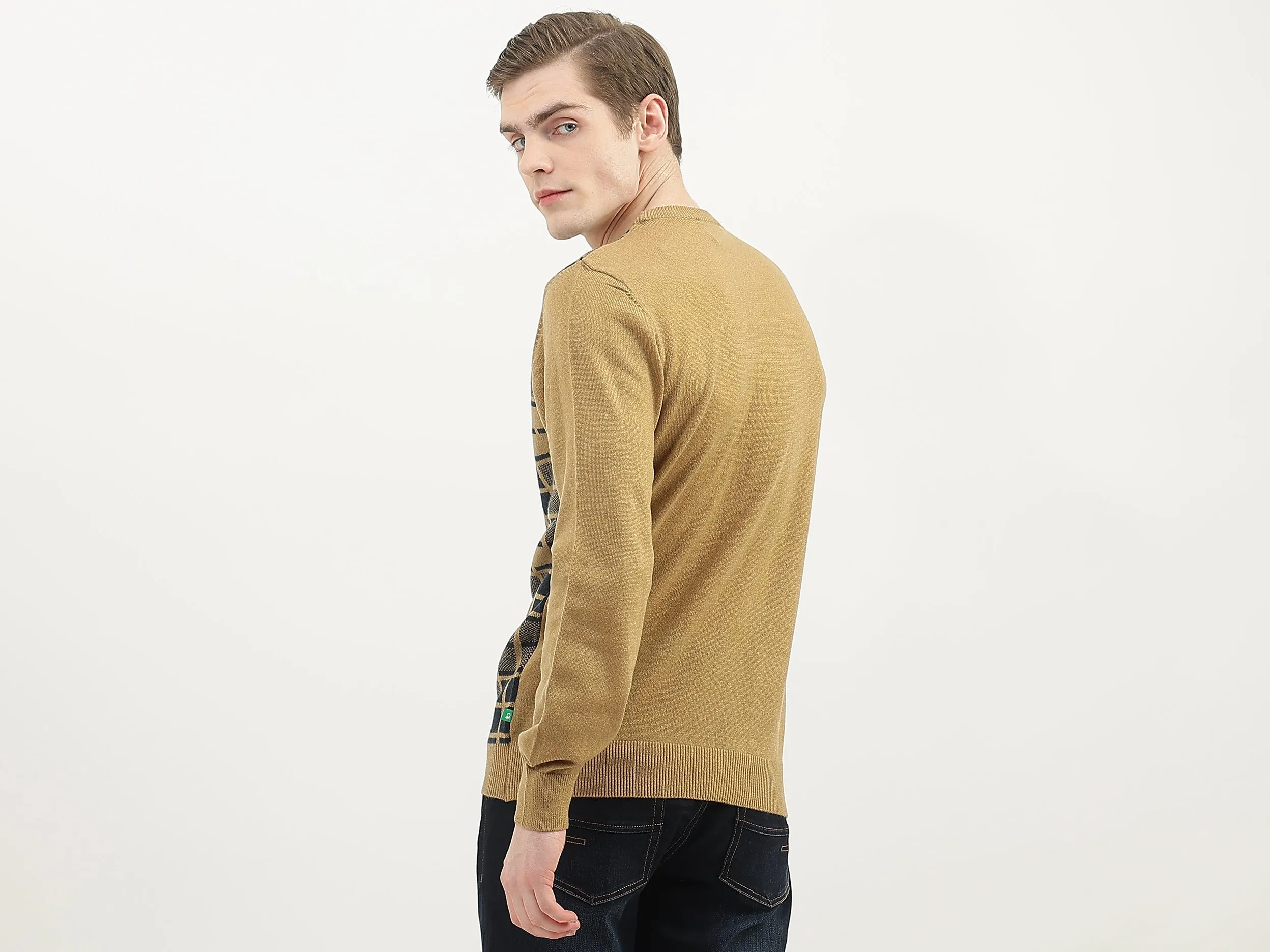 Men Checked Round Neck Sweater
