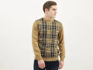 Men Checked Round Neck Sweater