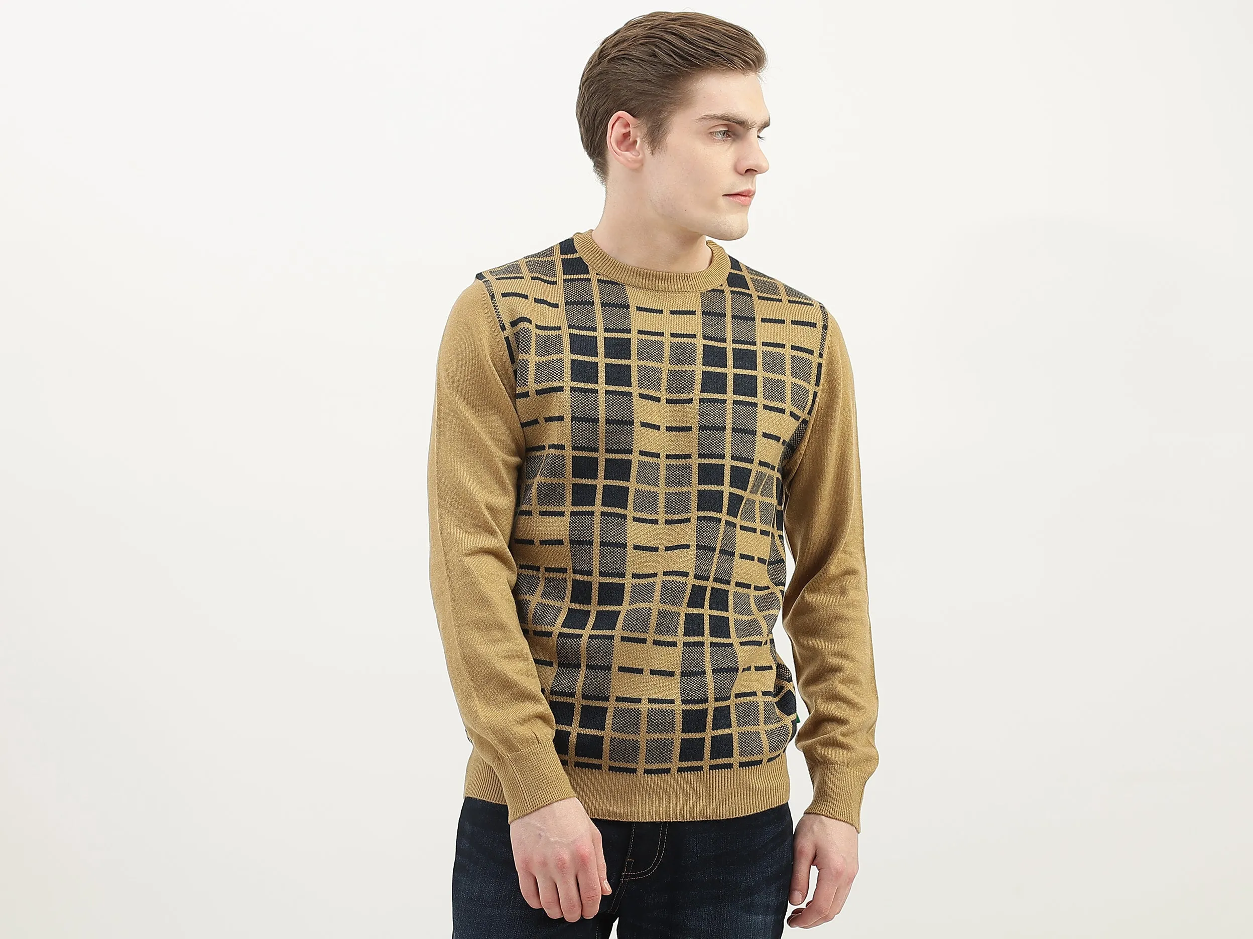 Men Checked Round Neck Sweater