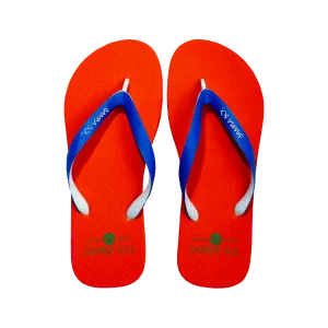 Samba Sol Men's Beach Collection Flip Flops - UF University of Florida